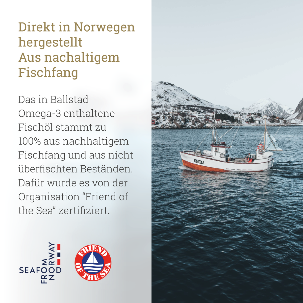 Ballstad-Produktgrafik mit norwegischer Küstenlandschaft