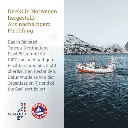 Ballstad-Produktgrafik mit norwegischer Küstenlandschaft