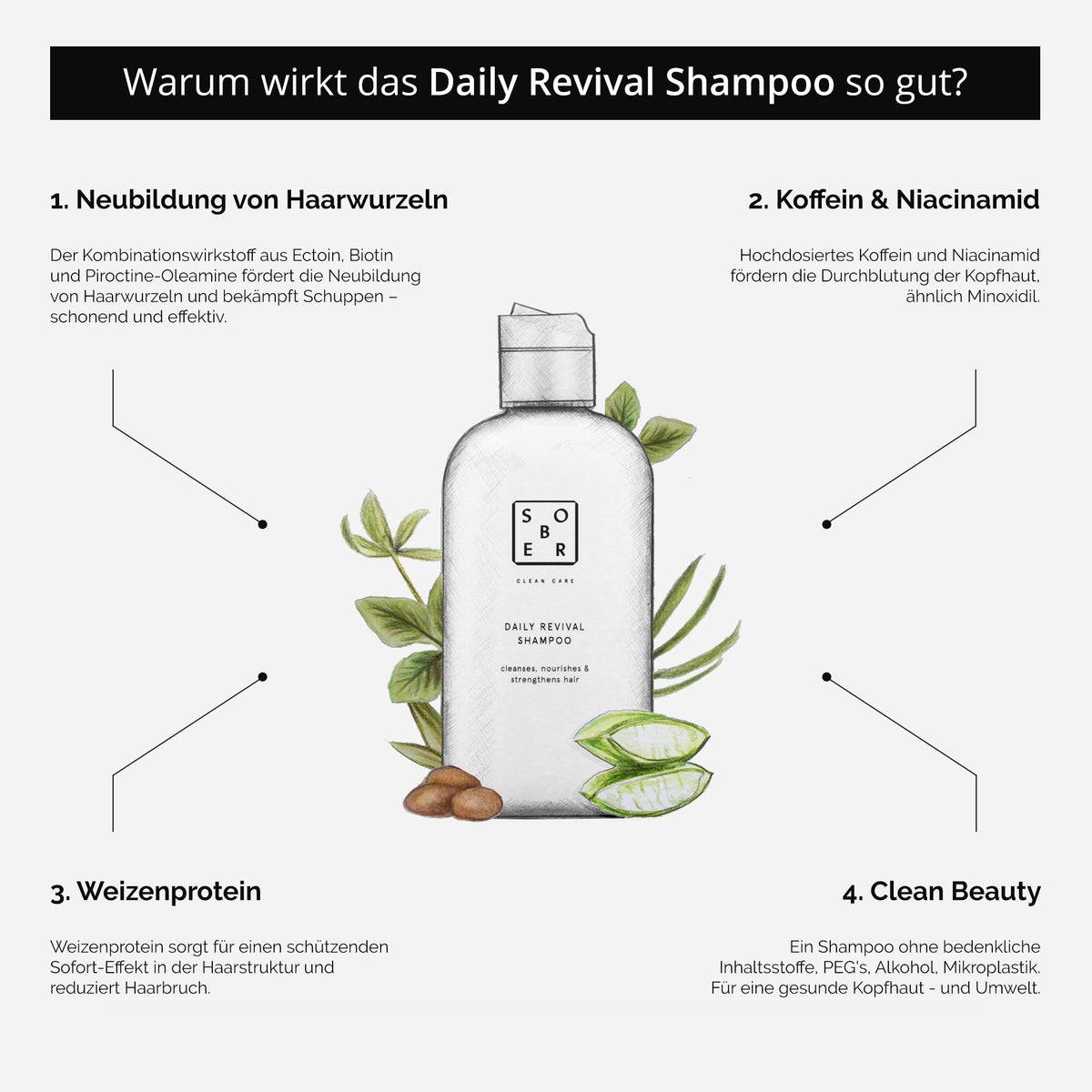 sober Daily Revival Shampoo: Übersicht der Inhaltsstoffe